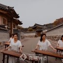 신바람비디오 이미지