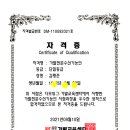 다모가발헤어
