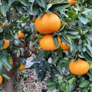 승희네농장 이미지