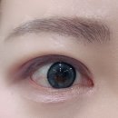 아이젠트리 신암점 | 데일리 그레이 렌즈 추천 아이젠트리 위드렌즈 대구신암점