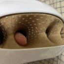 창원 류마티스내과 헤매던 시간 끝!