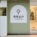 테라피 요가 | 🌿 병점요가 첫 도전! 하루요가 테라피 요가 수업 후기