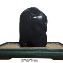 잿빛의 방백(傍白)/ 변화석, 바위경 이미지