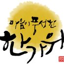 최*송 이미지