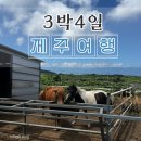 4639 | 🛫제주도 3박 4일 여행 4일차 후기