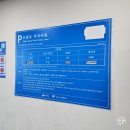 오동도2 | 여수 오동도 주차장 동백열차 시간표 2월중순 개화상황