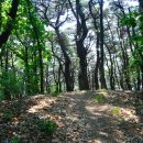 구평초등학교 이미지