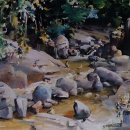 단양정민박 이미지