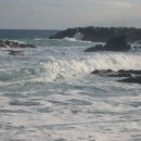 은빛축산 이미지