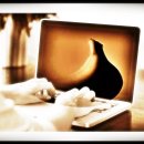 영란여자중학교 이미지