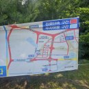 호성어린이집 | 대구 삼성 라이온즈 파크 아기랑 직관 후기(키즈룸, 수유실 위치, 잔디석 시야, 주차 꿀팁, 라이온즈...