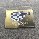 감포일출복어 이미지