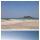 (주)여행캐스터