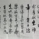 퀀텀의료기 이미지