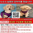 백광세탁소 이미지