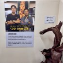 화석(규화목) | 포천 아이와가볼만한 곳, 실내 이색 전시관 '예술정원 1999 자연예술 테마파크' 후기