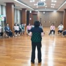 한국시니어교육연구원 이미지