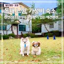 럭스 | 포천 애견동반 숙소｜강아지 운동장 있는 럭스제이펜션 후기
