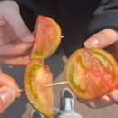 황강체육공원로-L | [축제] 제22회 대저 토마토 축제 🍅