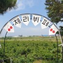별농장 네이버블로그