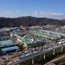 농수산물도매시장_서 이미지