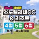 베트남골프 💥부산↔하노이 직항💥 하이퐁 소노펠리체CC 4월/5월/6월 특가⛳ 고품격패키지 안가면 손해 이미지