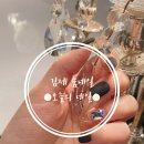 숨네일(Sum nail)