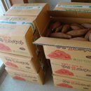 당진포1리 이미지