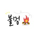 캠핑7604 이미지