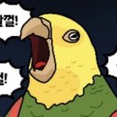 킹플 이미지