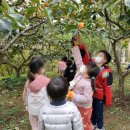 BR스쿨어린이집 이미지