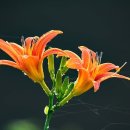 오예스노래연습장 이미지