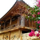 백암한우 이미지