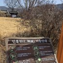 본리밭마경로당 | 대구매화 맛집 1티어! 남평문씨본리세거지 3월 14일 모습