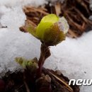 설악고시원
