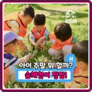 숲속어린이공원 | 주말 고민 끝! 용산가족공원 숲체험, 어린이 자연 학습 완벽 분석 가이드!