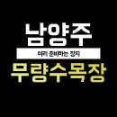 소나무목장 | 경기도 무량수목장 후기, 가격과 특별한 가치