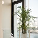 영종H동물의료센터 이미지