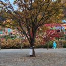 어망골캠핑장 이미지