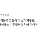 CU 배재대점 이미지