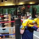 프로팀스타 복싱 이미지