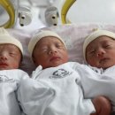 세쌍둥이네 이미지