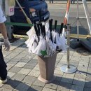 선선어가 | 웨이팅 없이 다녀온 여수당 솔직후기! 가격, 주차정보
