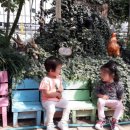 은정농원 이미지