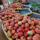 강두농장 이미지