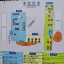 진주 가진리 새발자국과 공룡발자국 화석산지 Daum카페