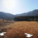 예정태양광발전소 이미지