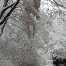 은 세상 이미지