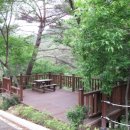 청계동솔바람야영장 이미지