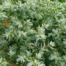 오늘더예뻐 이미지